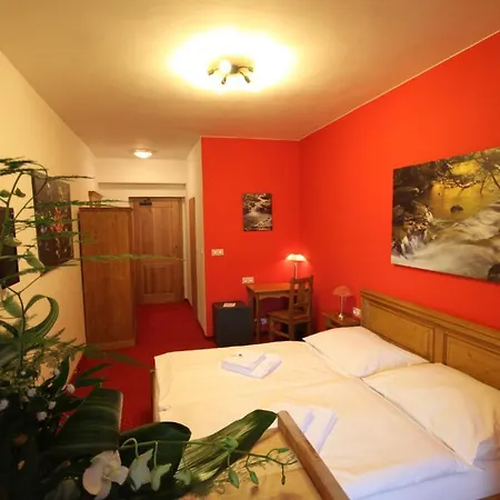 Hotel Horsky Vidly