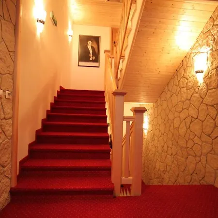 Horsky Vidly Hotel