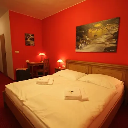 Horsky Vidly Hotel Karlova Studánka
