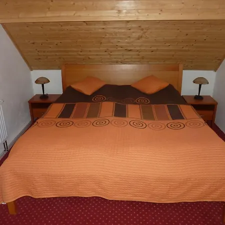 Hotel Horsky Vidly 4*