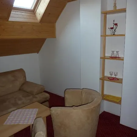 Horsky Vidly Hotel 4*