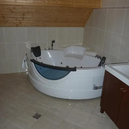 Hotel Horsky Vidly 4*
