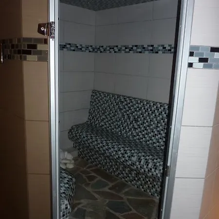 Hotel Horsky Vidly 4*